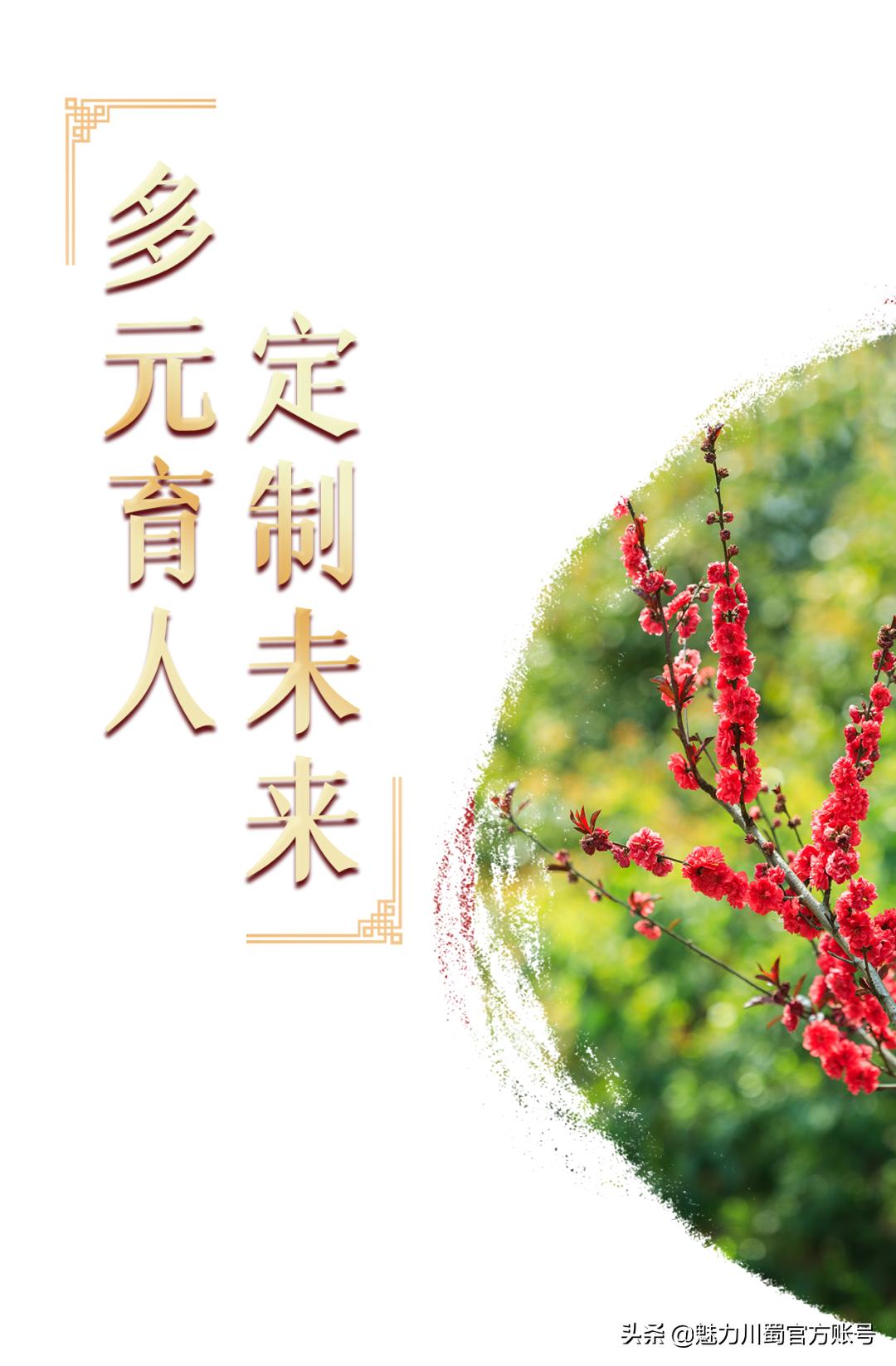 代码009，与未来快乐邂逅丨@中考学子，这里是绵阳中学实验学校