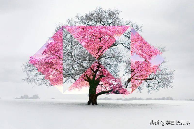 英国monzo银行开户,英国银行选择及开户指南