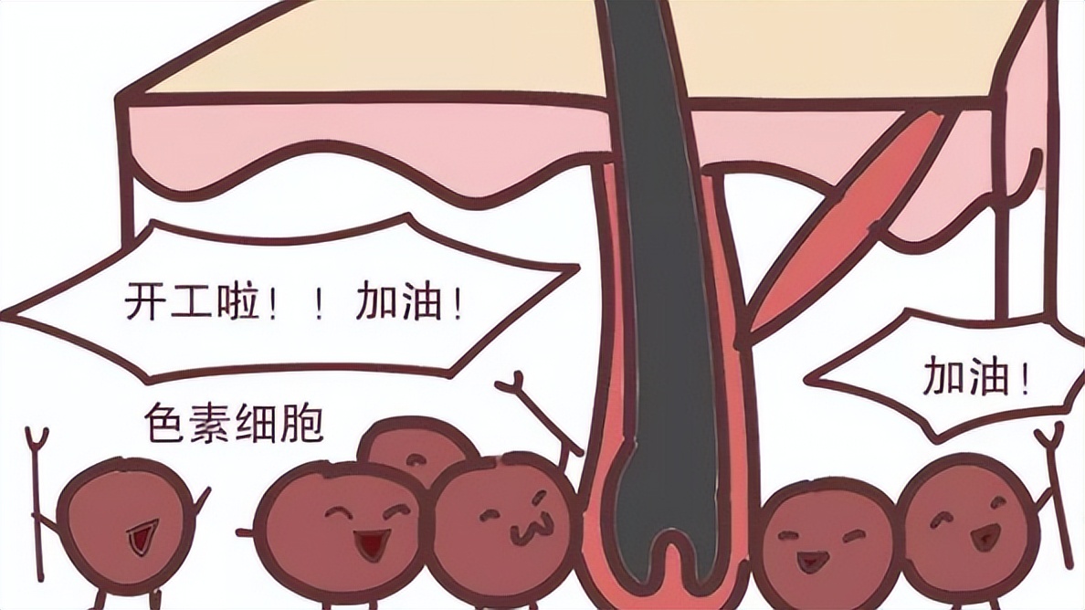 为啥白头发越长越多？你以为是老了，医生：或是缺乏这几种营养素