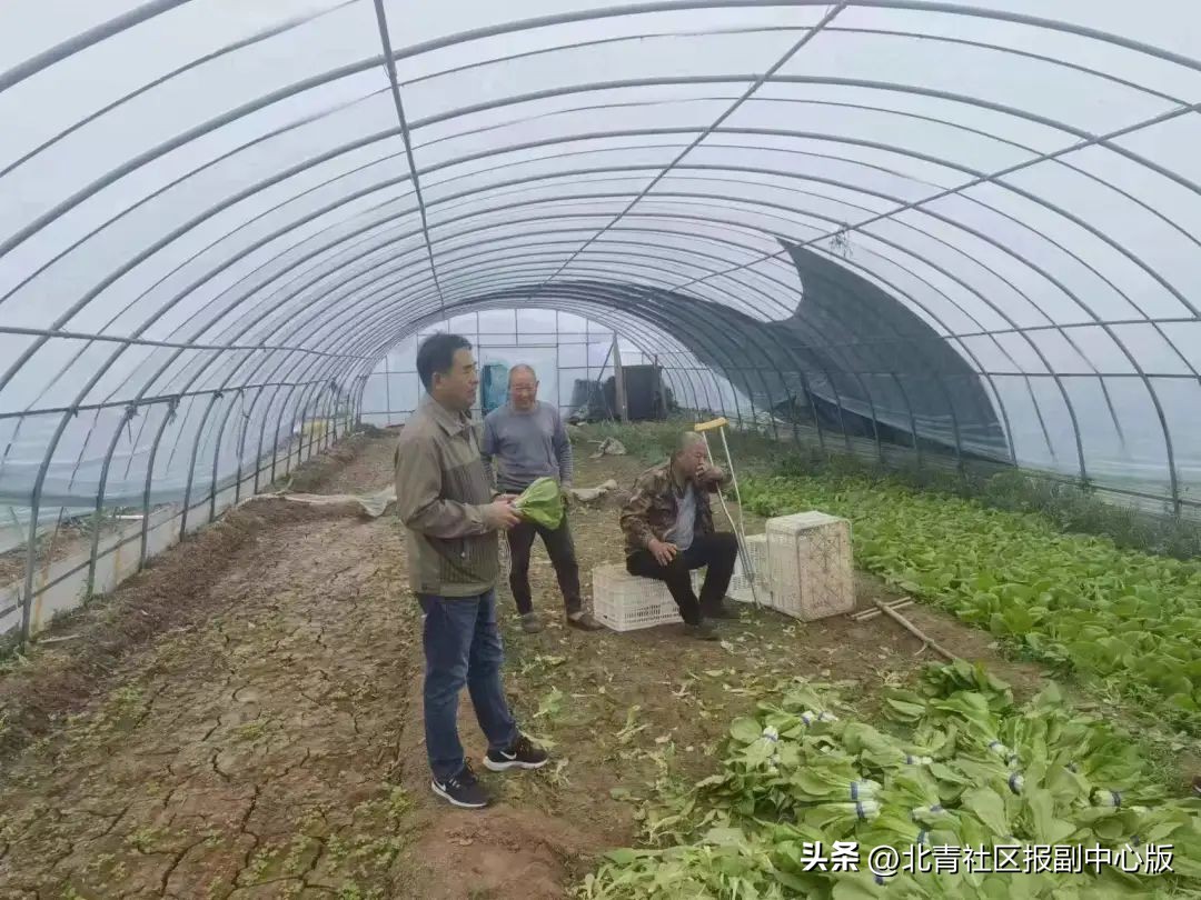 【副中心科技工作者专访】周永香:38年专注推广农业知识,不是在下乡就是在下乡路上