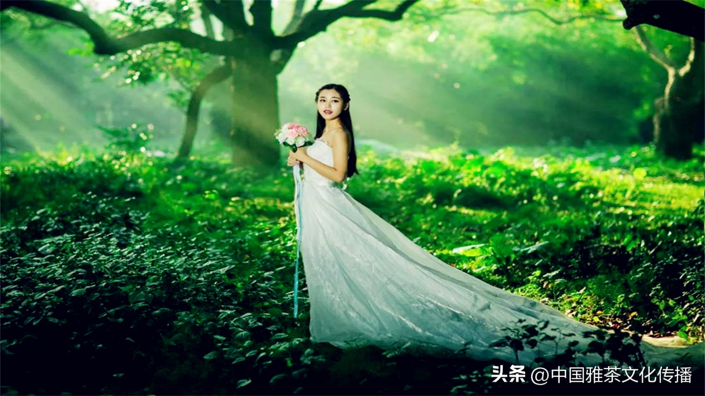 几缕茶香,一壶清茶几缕阳光几分优雅