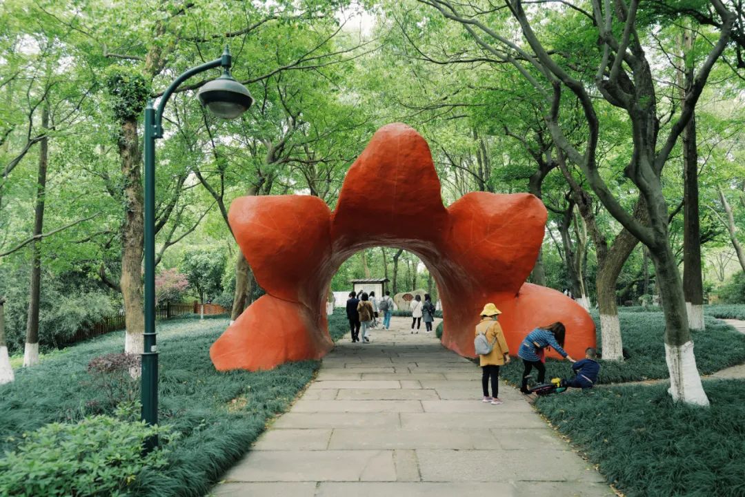 春天的潺潺溪水,春天的顶流