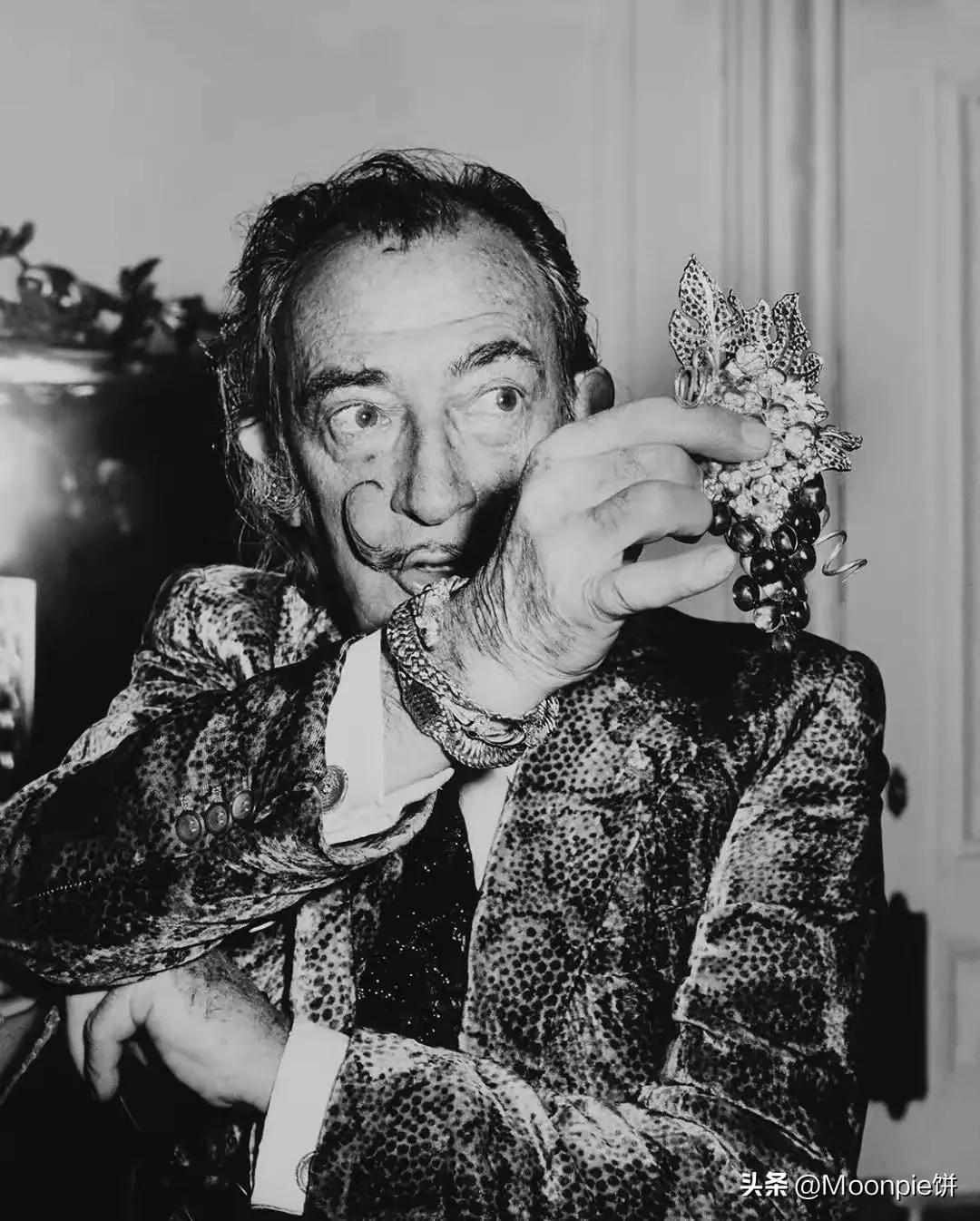 为什么胼胝体会缺失,schiaparelli水平