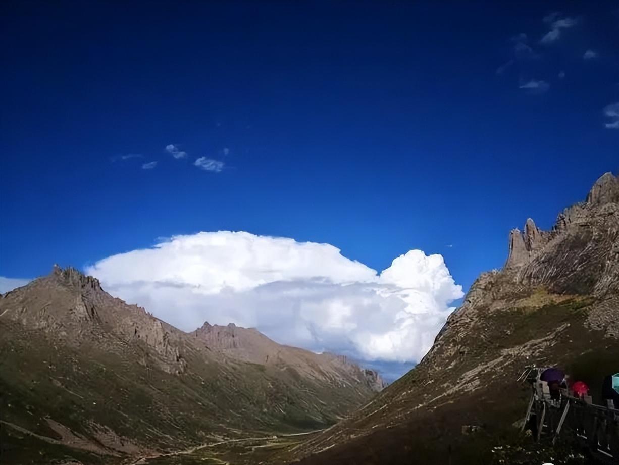 男人的神兵利器,韭菜生蚝枸杞真的对男性有帮助