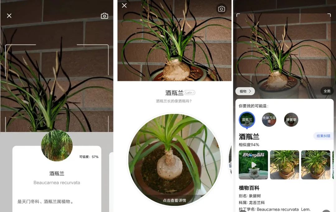 养花好物神器,花友必备神器