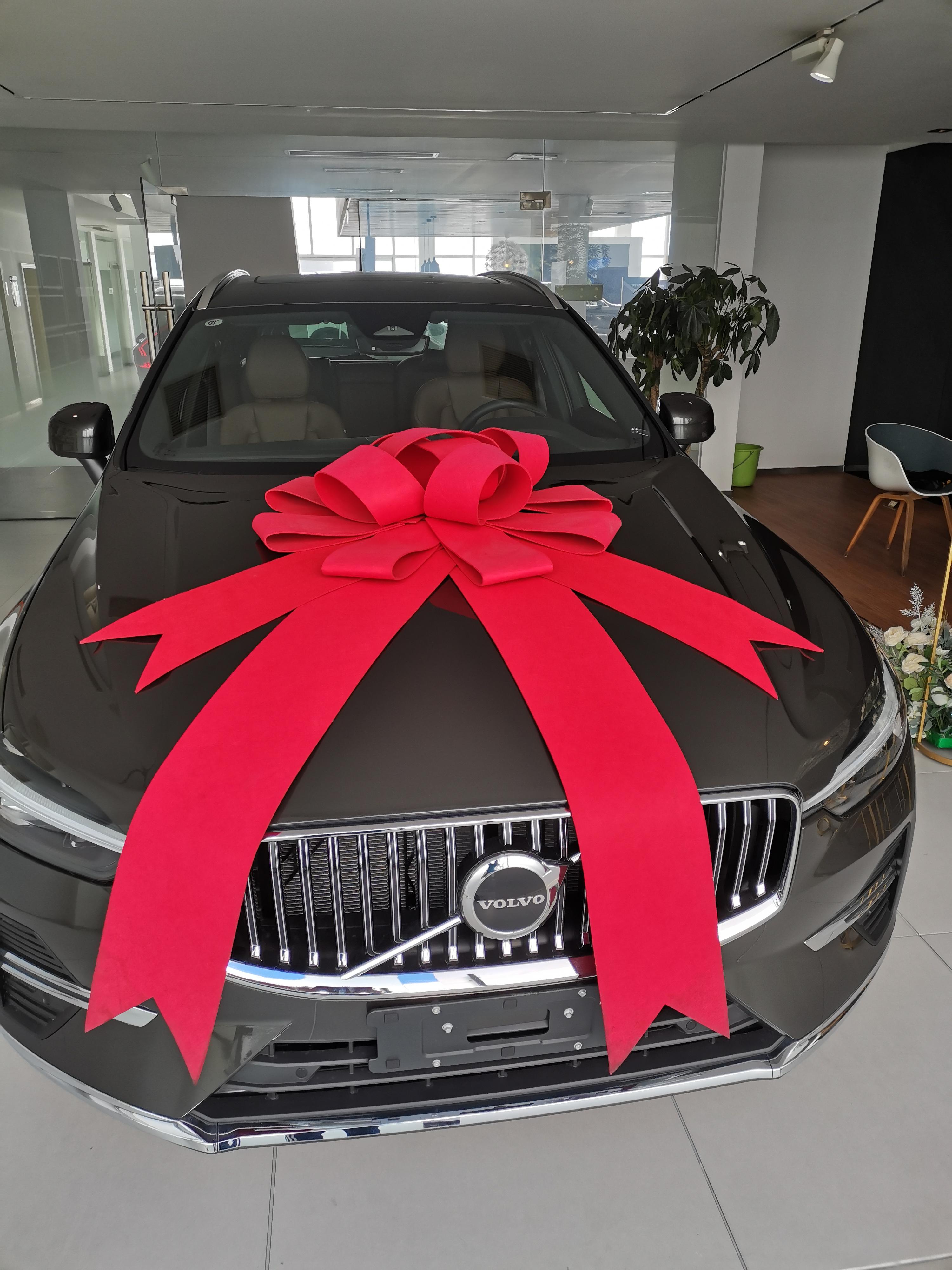 我的提车日记怎么写,我的提车日记