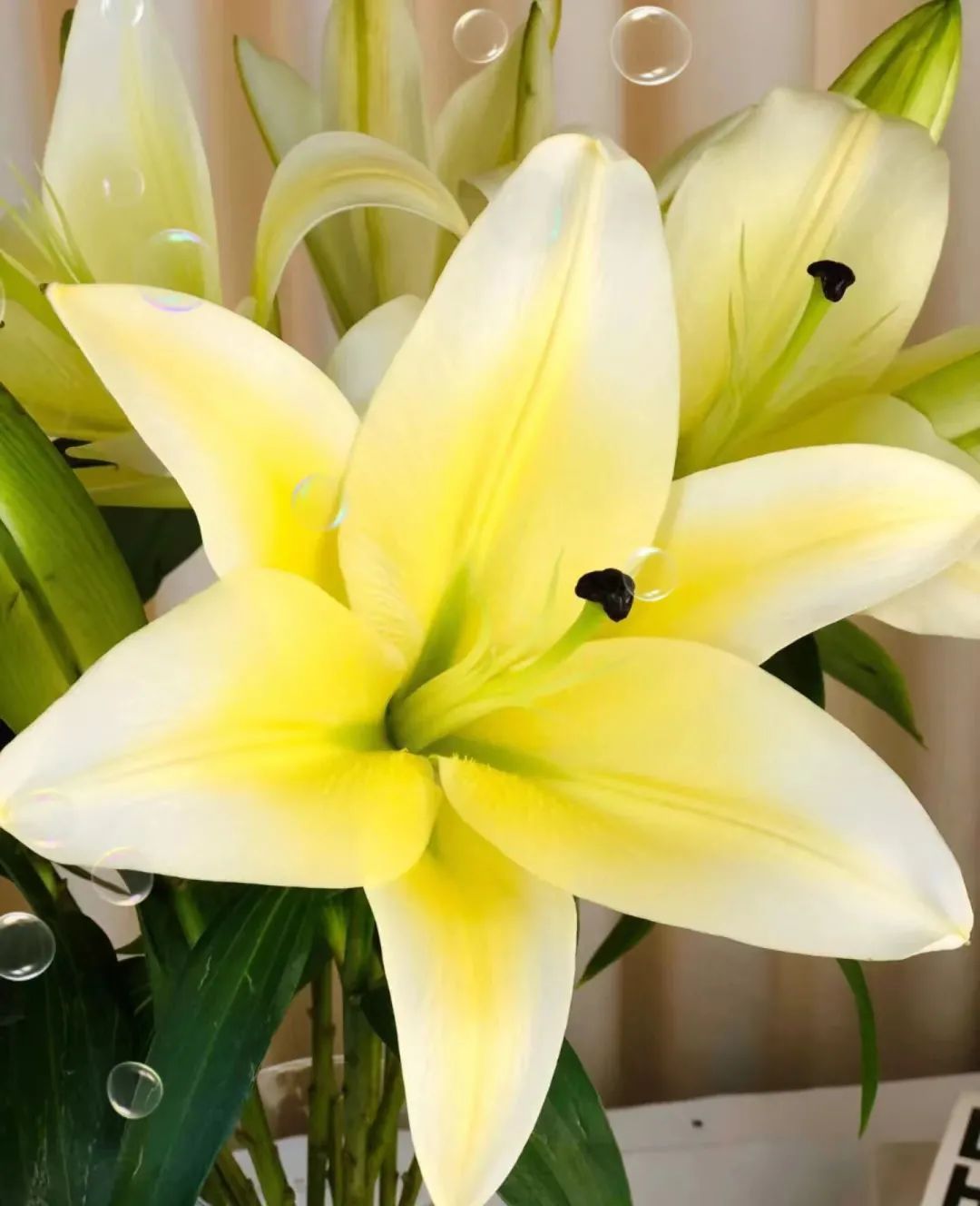 那些没说出口的话就留在心里,那些没说出口的话就藏在心里吧