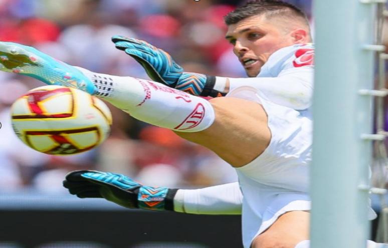 国际足联tms转会系统网址,国际足联转会禁令披露系统