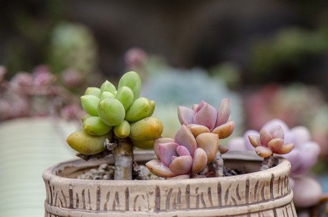 不想跟小人共事怎么跟领导说,遇到小人但是必须和他共事