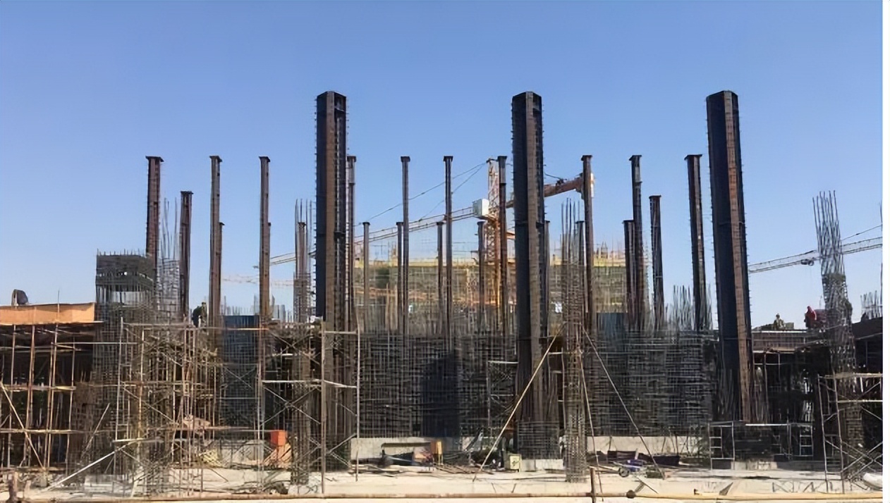 老干妈陶华碧家族,雷军评价陶华碧