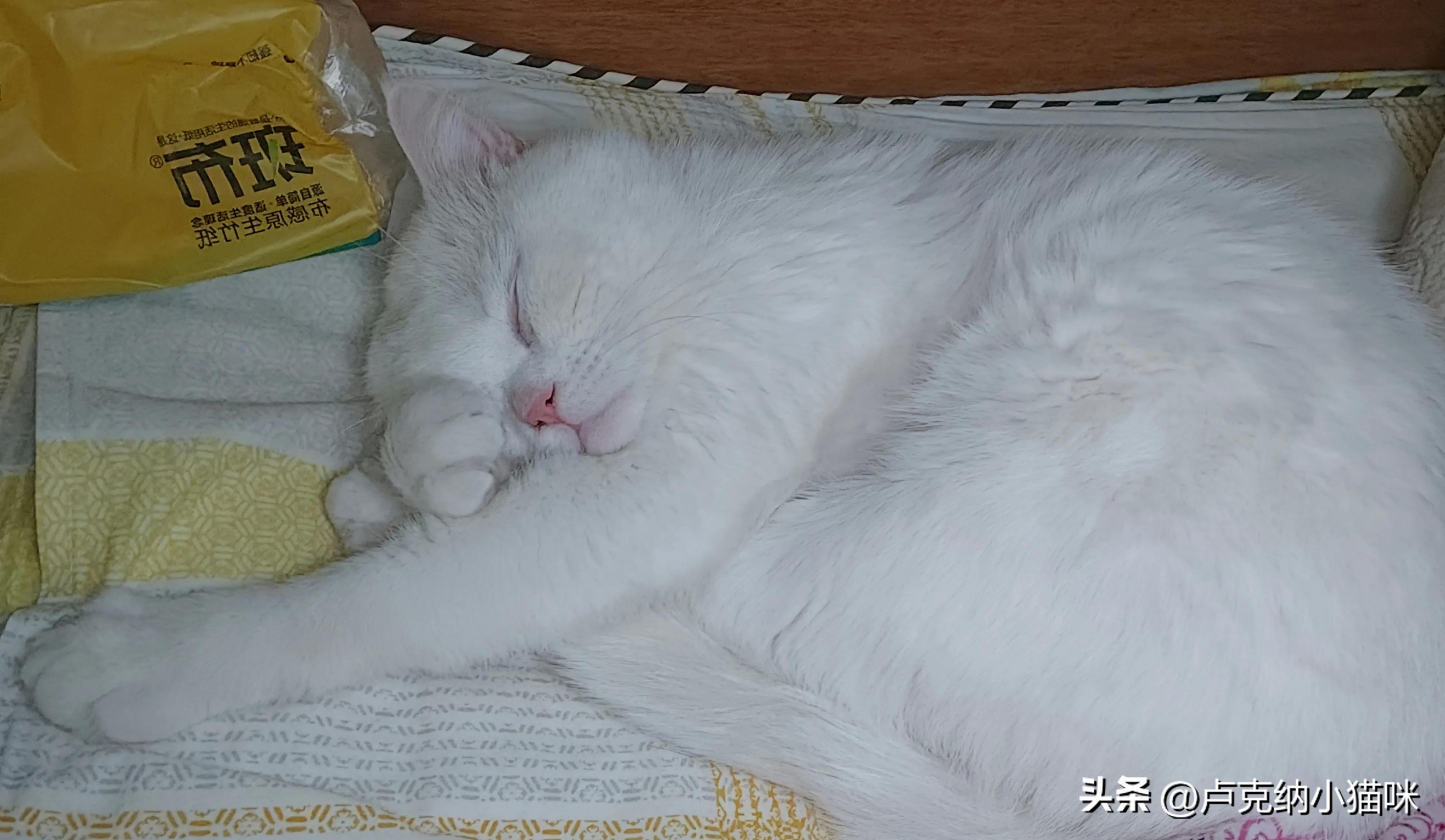 髌骨骨折术后60天正确康复锻炼,髌骨骨折术后三个月康复锻炼教程