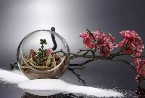 最美味好吃的各种家常凉菜做法,教你9道精致创意凉菜的做法