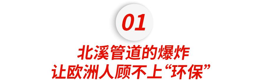 环保少女的1500天：中国辛苦种树种了2个半韩国，欧洲却放飞烧煤