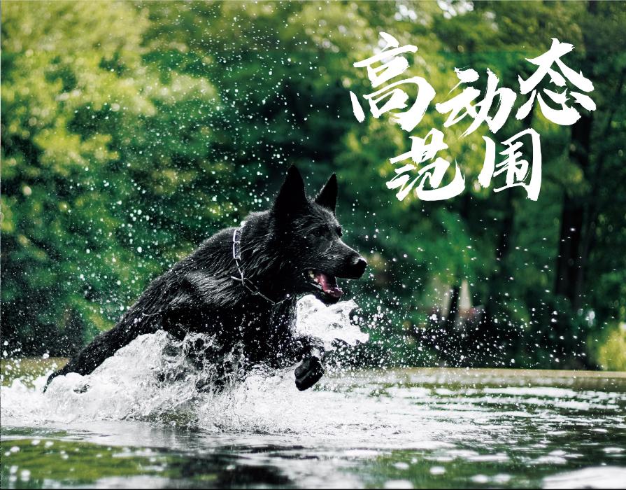 cinity高帧版,cinity科普