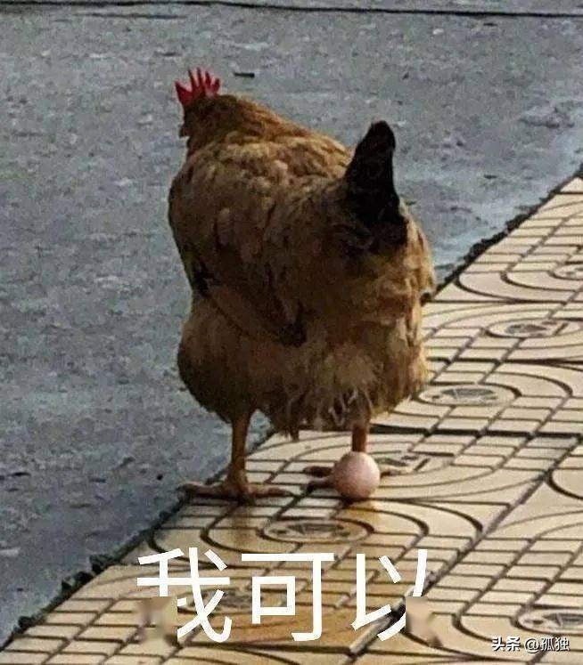 微医生保健,微医生好吗