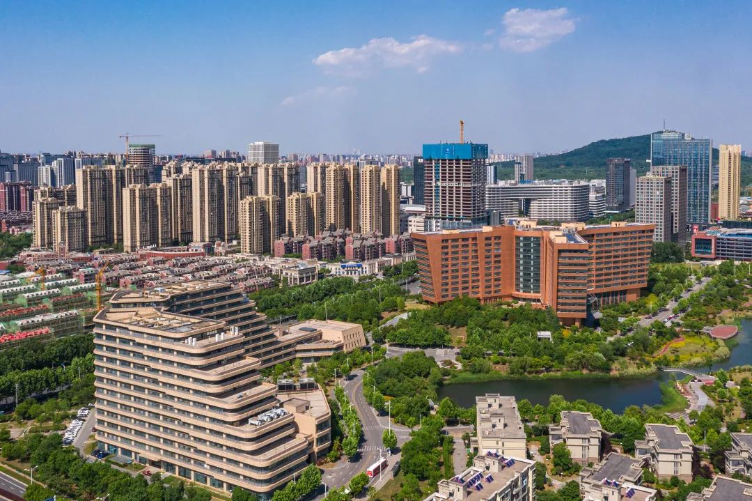 合肥高新区部分主导产业,合肥高新区高质量发展研讨会