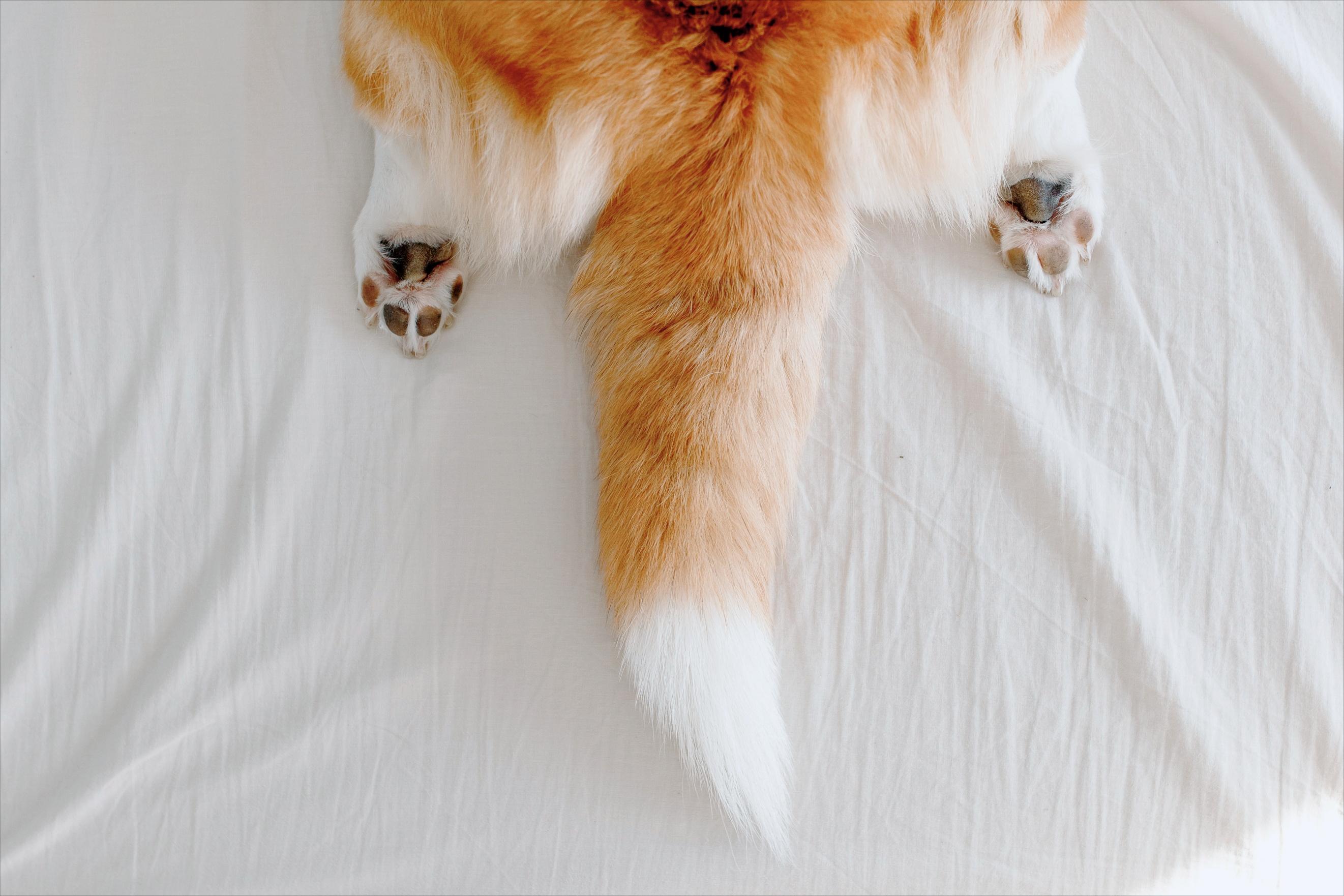 如何摆脱胡思乱想专注自己,教你摆脱胡思乱想的7个小方法