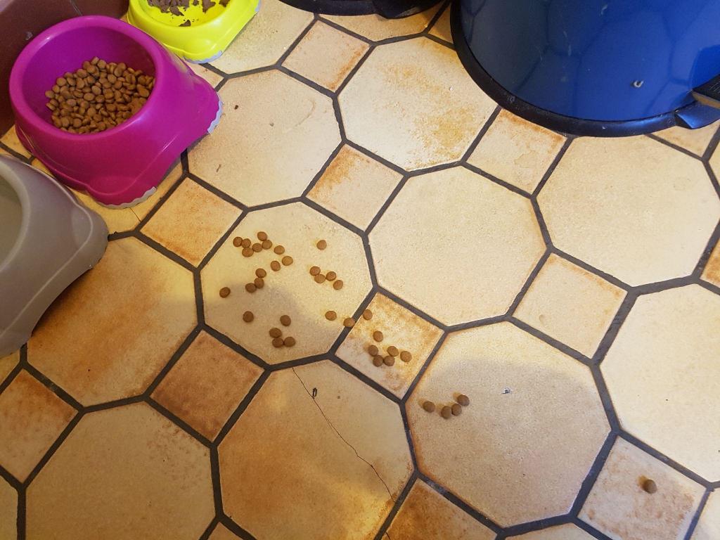 如何证明图灵完备,图灵完备条件判断