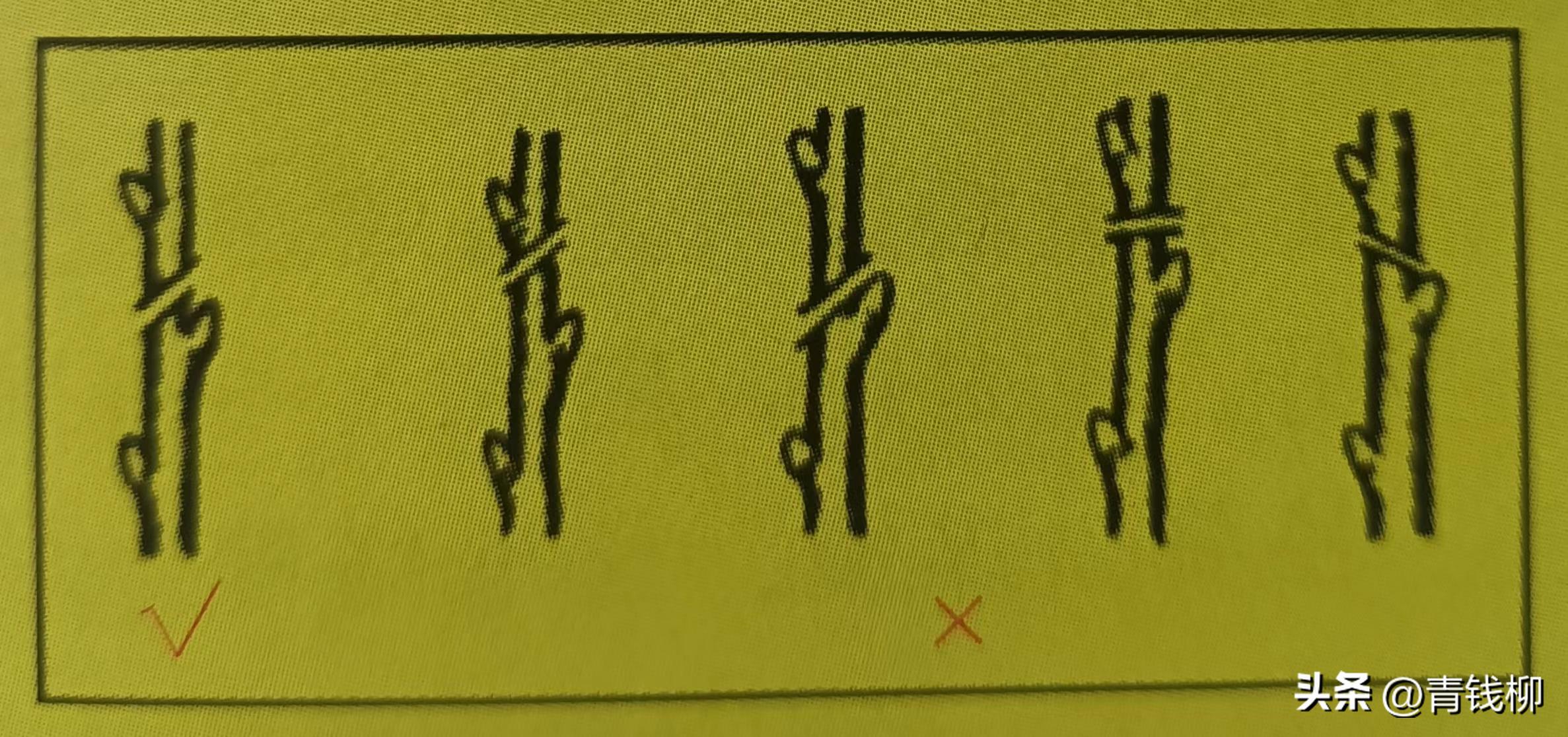 樱花最佳观赏时间表,雨水樱花