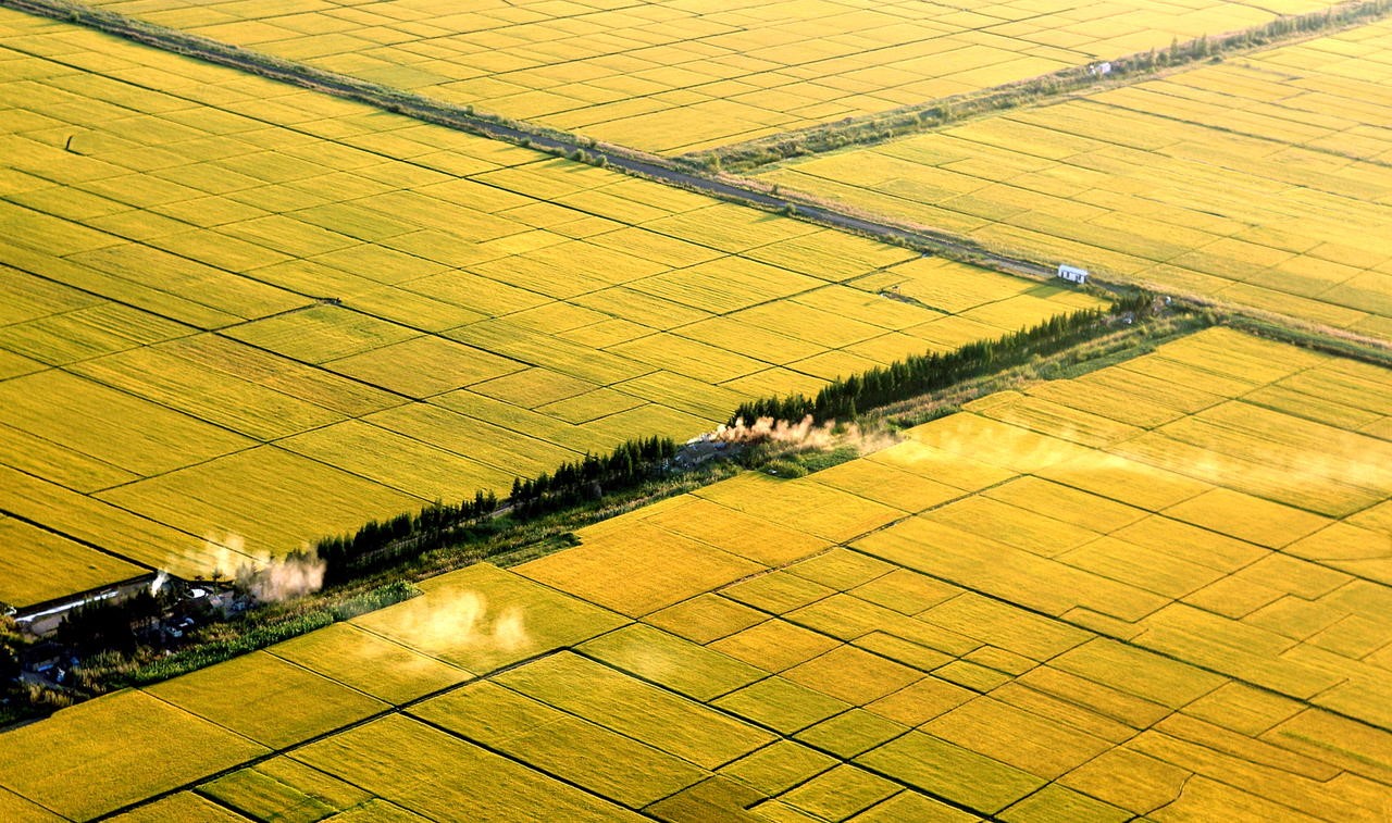 国外食品安全标准不含中国成分,国外食品标注不含中国成分被怼