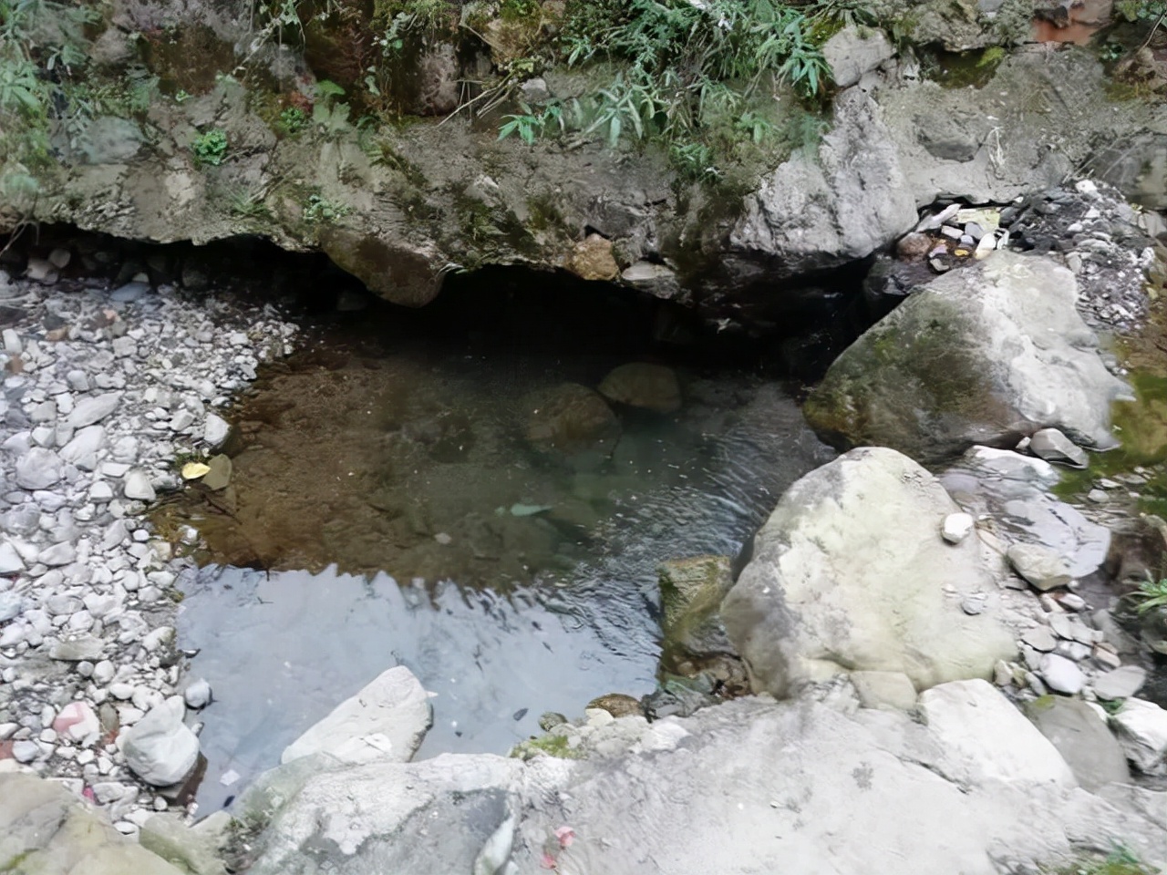 当年的钓点早已无鱼可钓，但鱼就在水中，真正的垂钓者都能看见