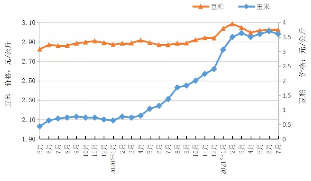 温氏股份为何出栏量下跌,温氏股份2023年或亏超60亿元
