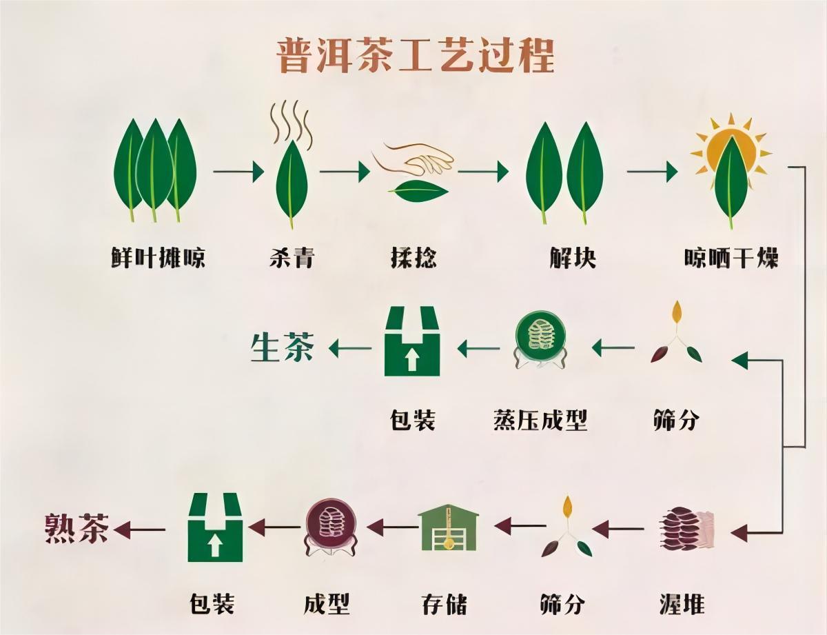 1克熟茶,十五年普洱熟茶还能喝吗