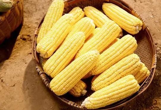 花椒可以去除湿气吗？提醒：平时多吃这“1物”，或能祛除湿气