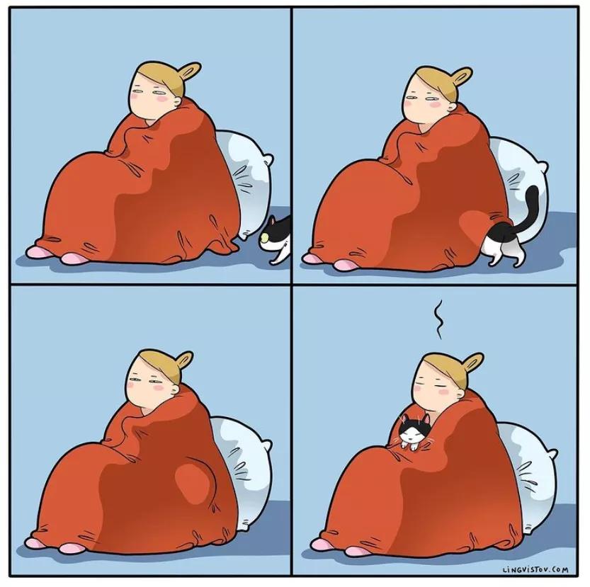 喵星人的那些事儿铲屎官漫画,猫咪铲屎官日常漫图