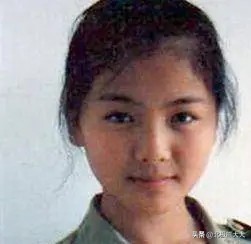 从贤妻到女强人刘涛都经历了什么,贤妻刘涛的情感往事