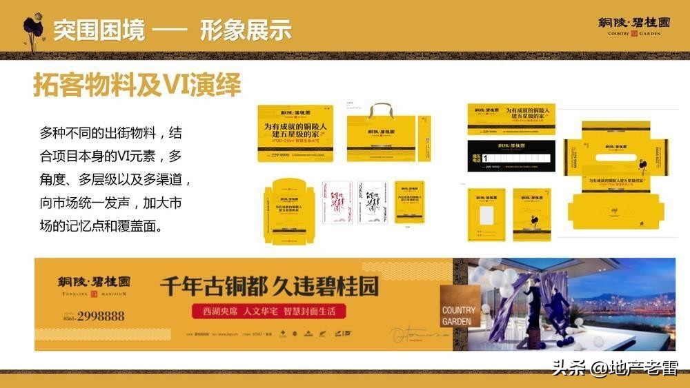 碧桂园房地产竞品分析,碧桂园房地产价格策略