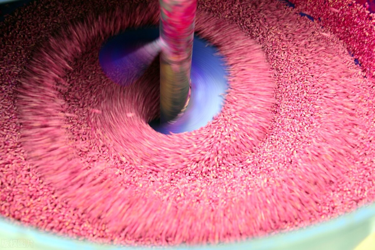 种子出苗后怎么管理,种子播种后该如何管理