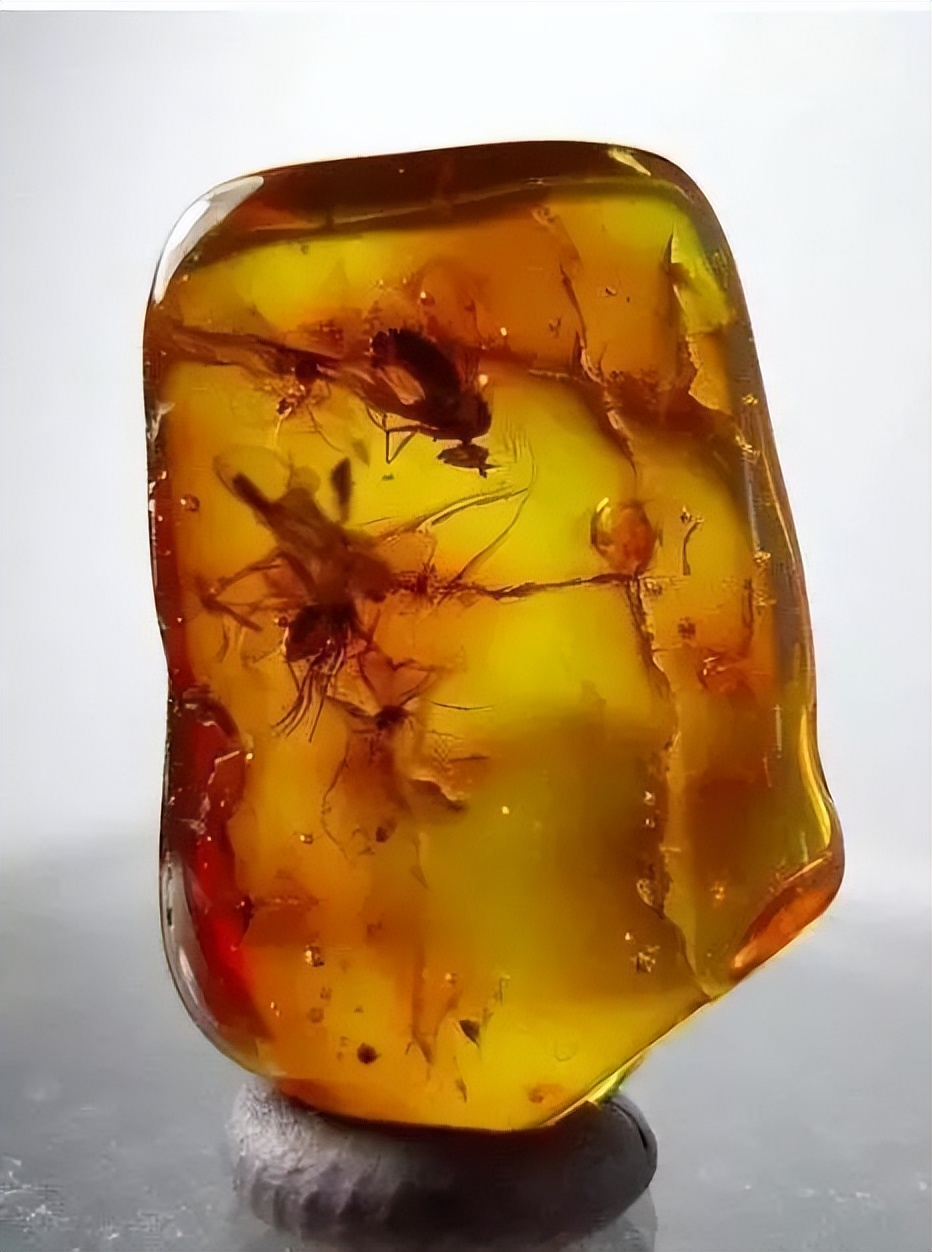 琥珀的相关知识有哪些,琥珀玛瑙知识