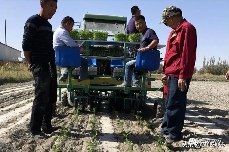 最新移栽机,移栽机发展趋势
