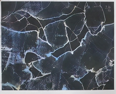 “FossilsDance－太古⽯的舞痕”