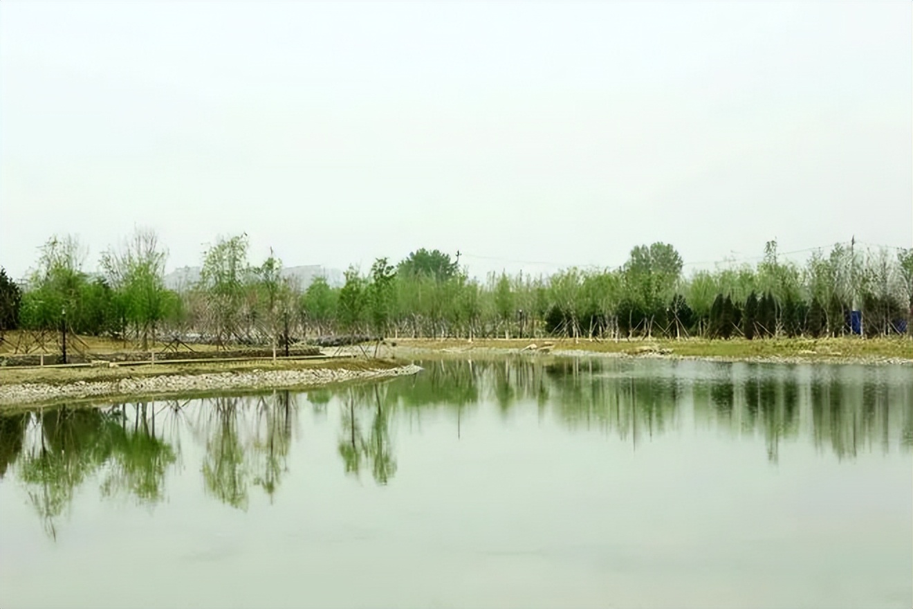 北京朝阳金盏森林公园开园了吗,金盏森林最新消息