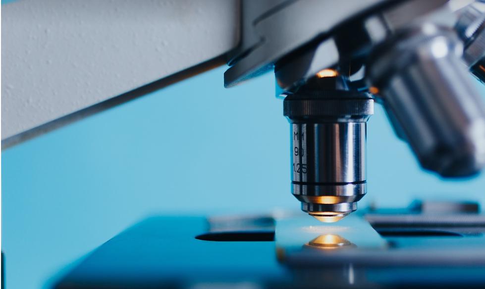 扦插月季添加微生物菌剂有好处吗,加入生根粉和多菌灵的土能种菜吗