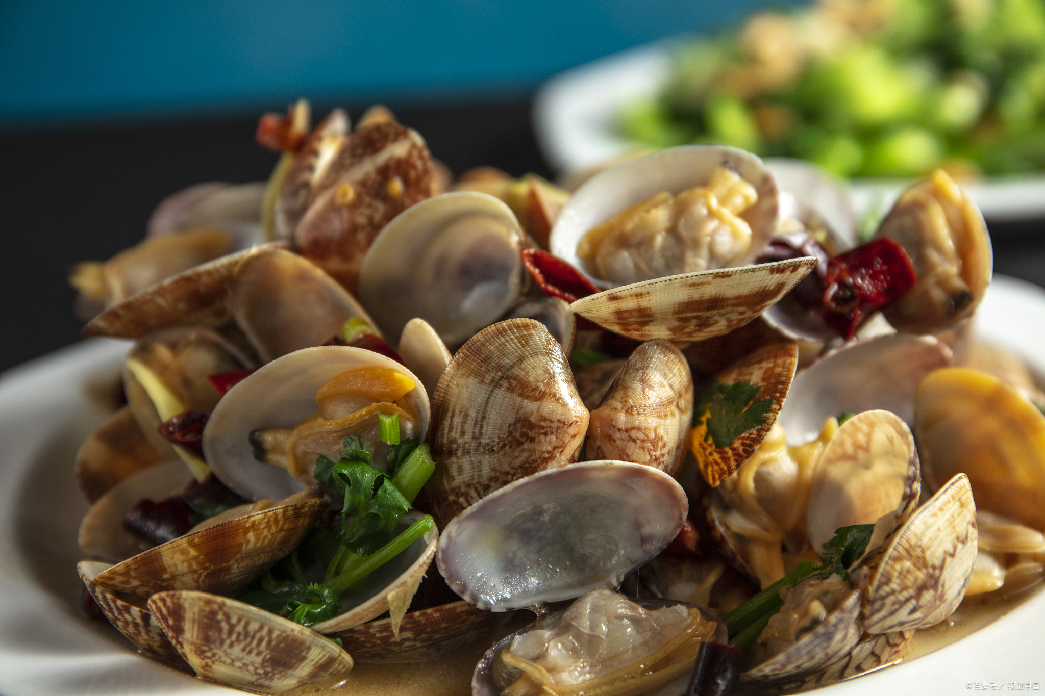 蛤蜊好吃又简单家常做法,蛤蜊最简单的几种做法又香又馋人