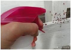 钢化膜简单易学的方法,手机玻璃保护膜碎了怎么拆下来