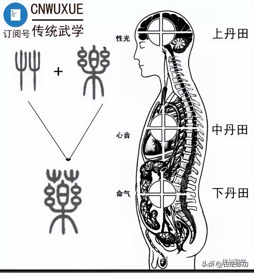 武当赵堡太极拳秘笈讲解,武当赵堡太极拳