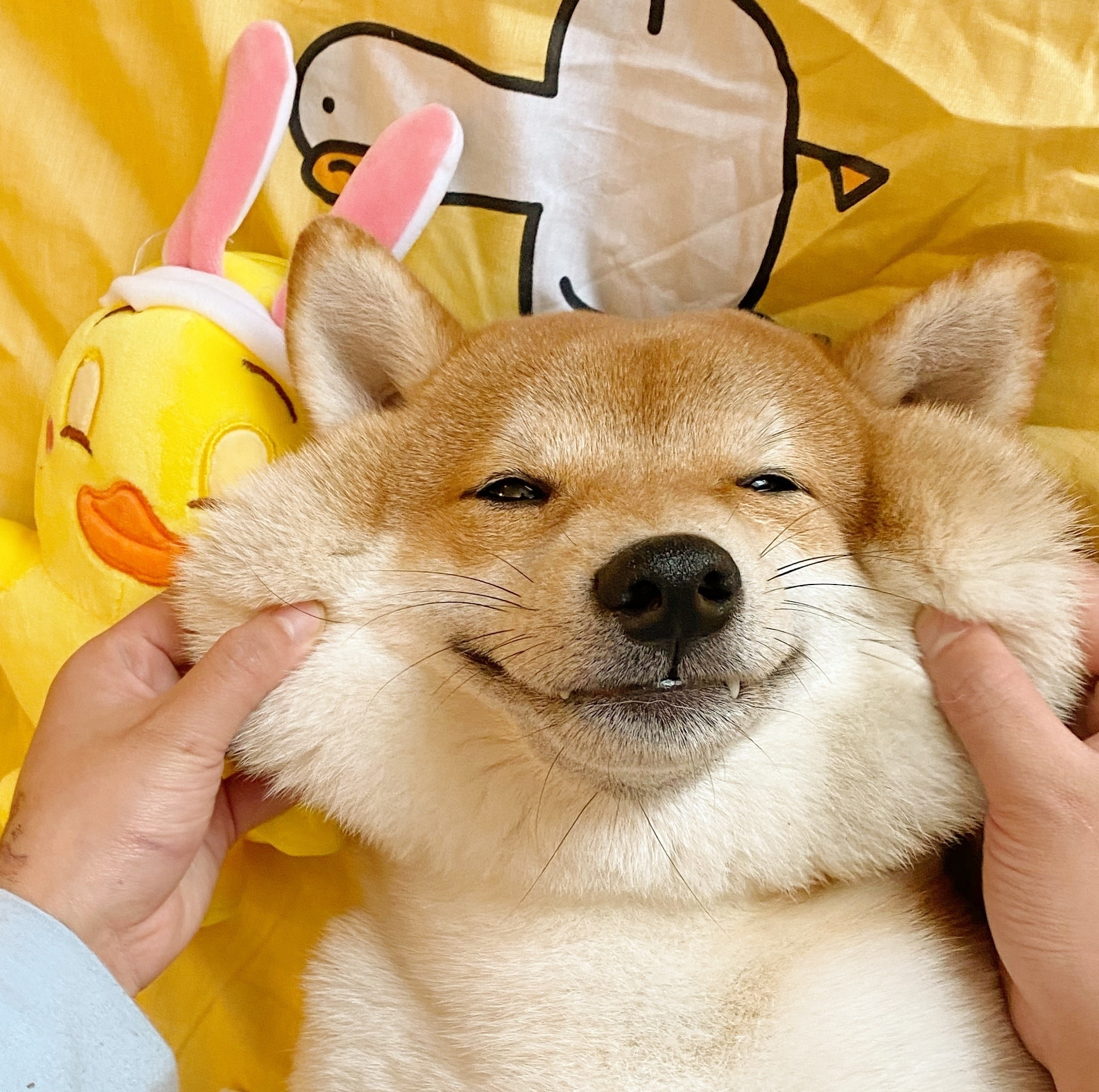 你只关心你自己的沙雕文案,夸姐妹的文案沙雕