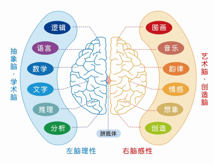 认识五种语言,认识思维和认知