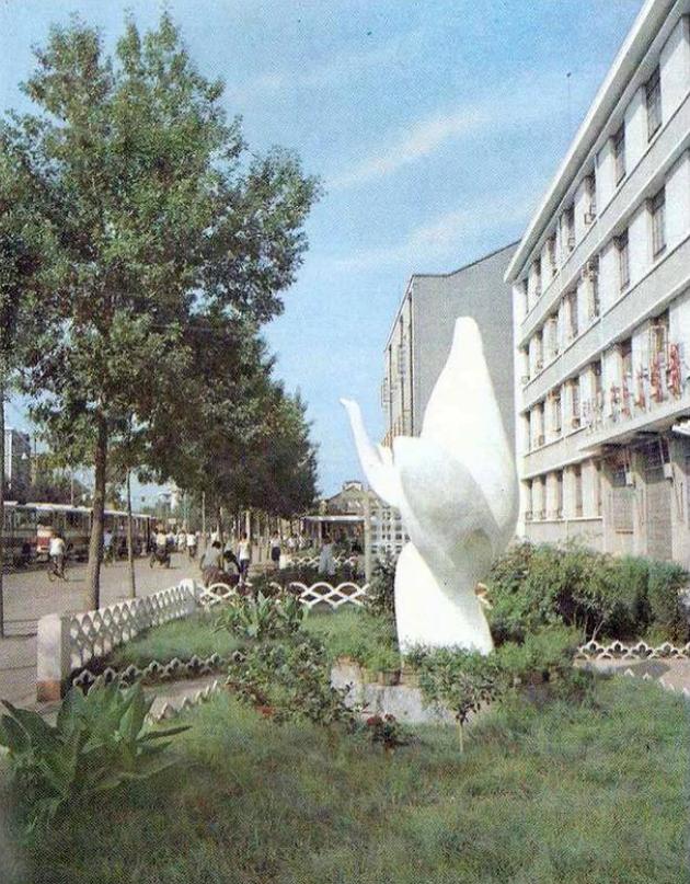 天津海滨区老照片,天津旧景照片