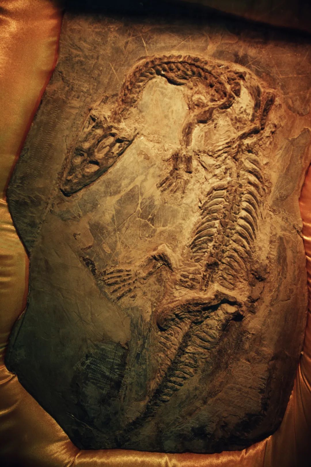 怎样快速认识中国地形山脉,怎么从头到尾了解中国的所有历史