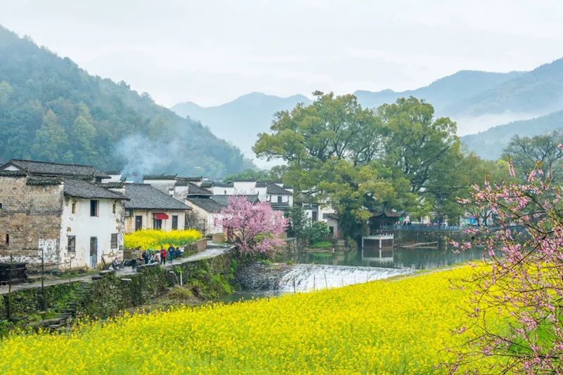 2020梦幻之秋婺源三天摄影创作团,醉美婺源摄影地点推荐