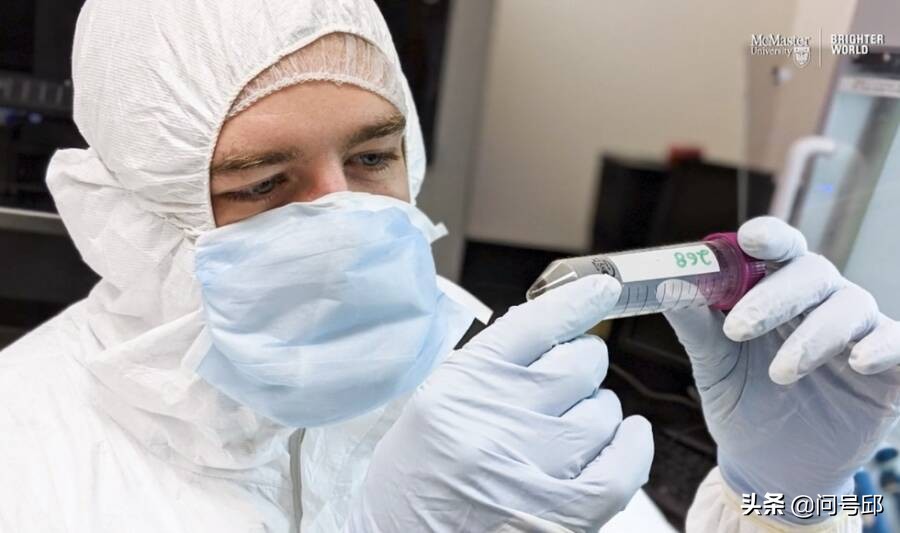 冰川时期长毛象有没有灭绝,冰石时代长毛象是怎么灭绝的