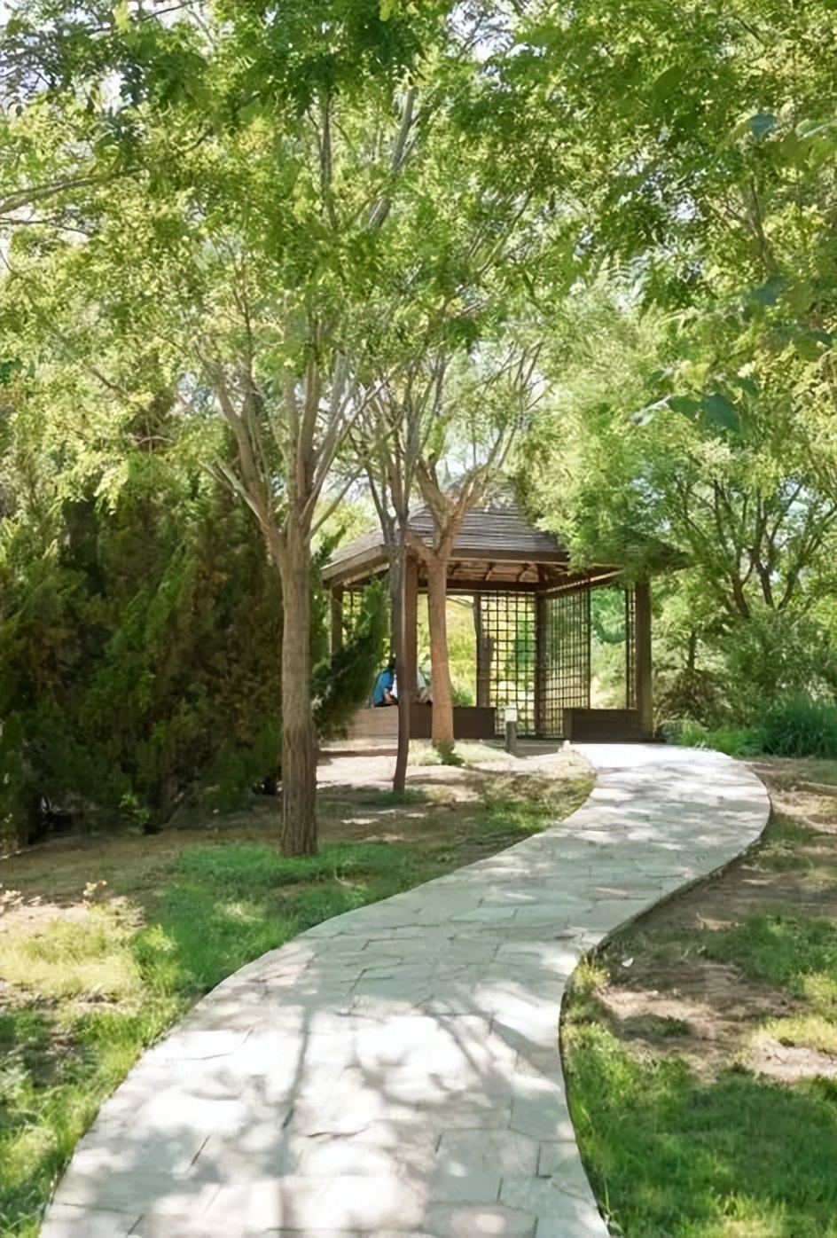 天津冬季遛娃,天津遛娃的免费公园