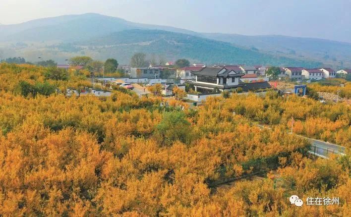 淮北徐州快速通道通车,徐州淮北快速通道可以通车了吗