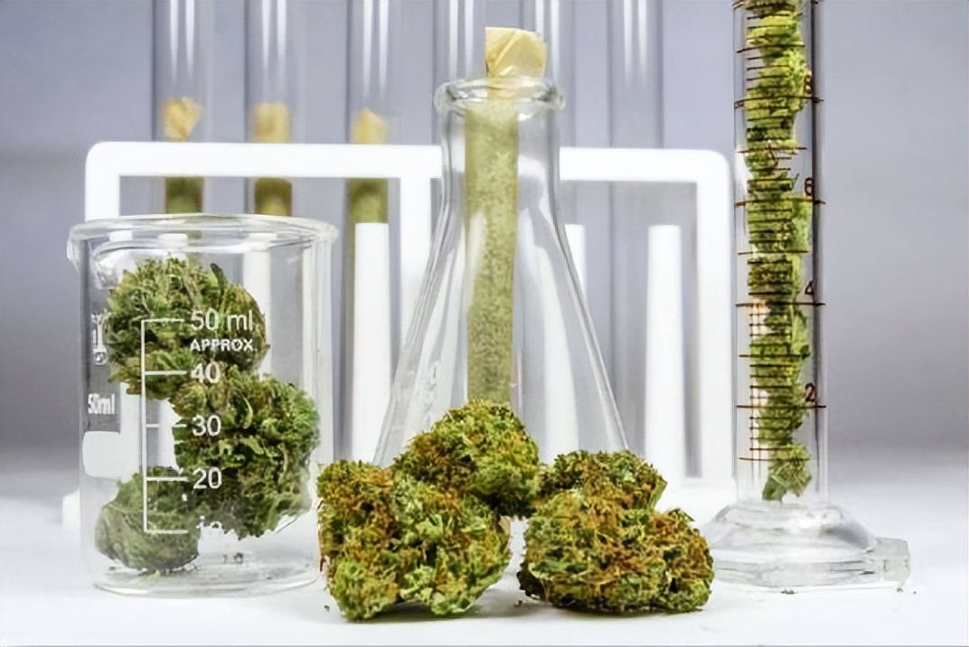 说案|倒卖“上头*子烟电**”，获判！