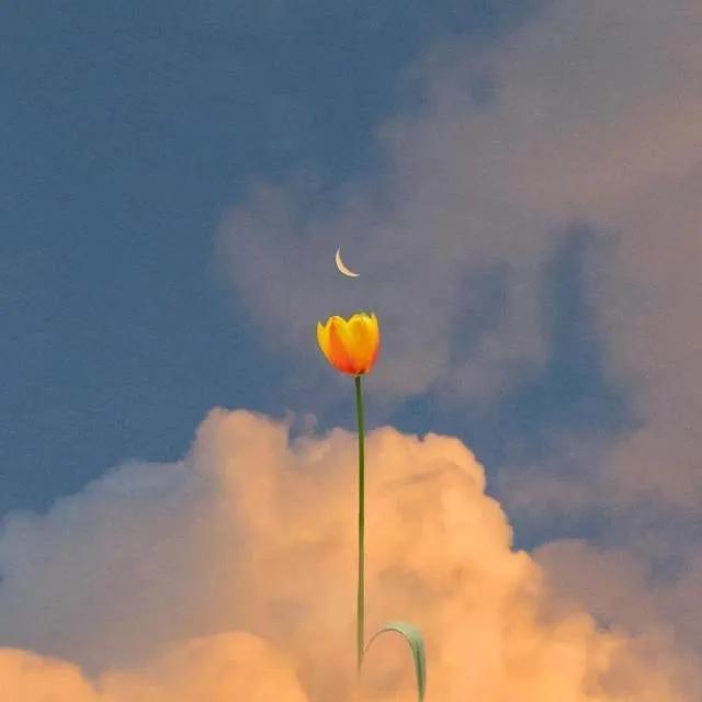 母亲节做活动文案,35句母亲节文案